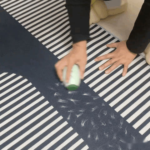 Sticky Roller 2025